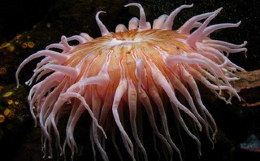 mutationem consuetudium lectorum