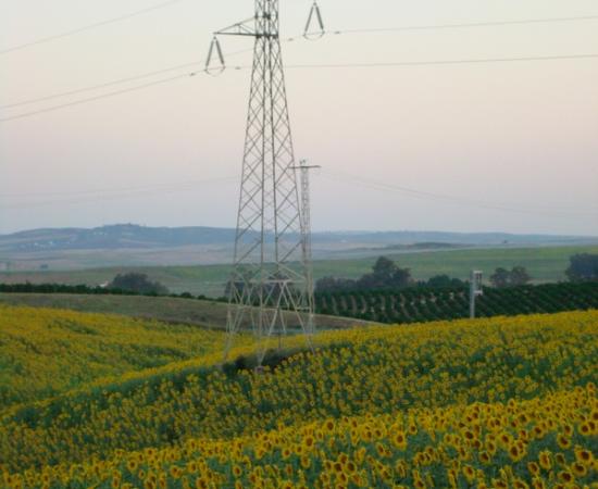 mobile laptop handbook